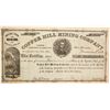 Image 1 : Copper Hill Mining Company Stock  (77044)