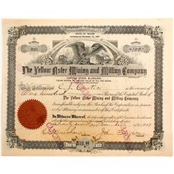 Yellow Aster Mining and Milling Co.  (77234)