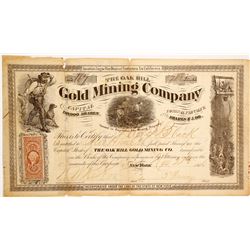 Oak Hill Gold MIning Company Stock  (90466)