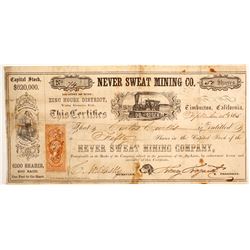 Never Sweat Mining Company Stock  (77040)