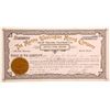 Image 1 : Martha Washington Mining Company Stock - A RARE Women Speculator Mine  (90448)