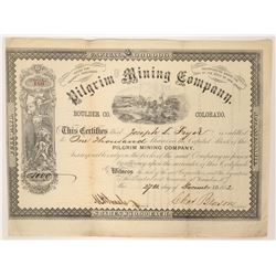 Pilgrim Mining Company Stock  (90524)