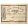 Image 1 : Pilgrim Mining Company Stock  (90524)
