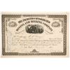 Image 1 : Palmetto Consolidated Mining and Milling Company Stock  (89448)