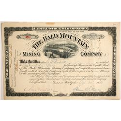 Bald Mountain Mining Stock  (89360)