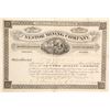 Image 1 : Nestor Mining Company Stock  (90523)