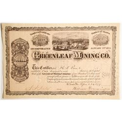 Greenleaf Mining Company Stock  (89429)