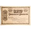 Image 1 : Greenleaf Mining Company Stock  (89429)