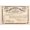 Image 1 : Ash Bed Mining Co Stock  (89926)