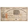 Image 1 : Consolidated Cedar Hill Gold and Silver MIning Company Stock  (89469)
