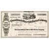 Image 1 : Consolidated Silver Hill Mining Company Stock - Early and Rare  (82007)