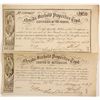 Image 1 : Nevada Freehold Properties Trust   (90571)