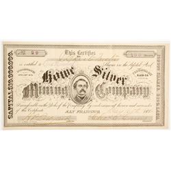 Rowe Silver Mining Company Stock  (88734)
