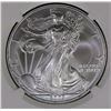Image 2 : 2003 AMERICAN SILVER EAGLE NGC MS 69