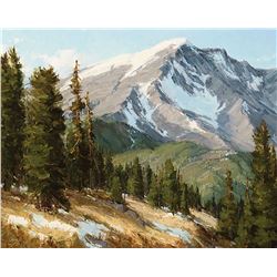 Carole Cooke-Sunlight & Shadow