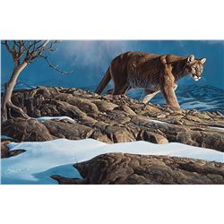 Daniel Smith-Winter Squall