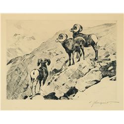 Carl Rungius-Cliff Dwellers