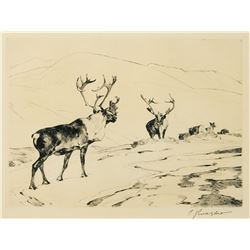 Carl Rungius-The Stranger