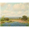 Image 1 : Porfirio Salinas-Bluebonnet Spring