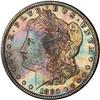 Image 1 : [L#0634] 1880-S $1 MS64 toned
