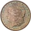 Image 1 : [L#0769] 1891 $1 PCGS MS65