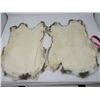 Image 2 : LOT OF 2 RABBIT PELTS (BROWN)