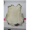 Image 4 : LOT OF 2 RABBIT PELTS (BROWN)