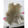 Image 5 : LOT OF 2 RABBIT PELTS (BROWN)