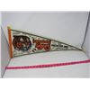 Image 1 : HOCKEY PENNANT (MEDICINE HAT TIGERS) *1994-95* (LAMINATED)