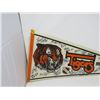 Image 2 : HOCKEY PENNANT (MEDICINE HAT TIGERS) *1994-95* (LAMINATED)