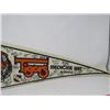 Image 3 : HOCKEY PENNANT (MEDICINE HAT TIGERS) *1994-95* (LAMINATED)