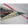 Image 2 : HOCKEY PENNANT (TACOMA ROCKETS) *1993-94* (LAMINATED)