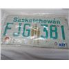 Image 4 : LOT OF 12 LICENSE PLATES (SASKATCHEWAN)