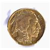 Image 2 : 1913-D TYPE-2 BUFFALO NICKEL, PCGS MS-66