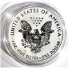 Image 2 : 2011-P REVERSE PROOF AMERICAN SILVER EAGLE