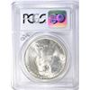 Image 4 : 1923 PEACE DOLLAR  PCGS  MS64