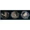 Image 1 : 1994 VETERANS PROOF 3-COIN SET