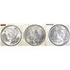 Image 1 : 3-1923 PEACE DOLLARS, CH BU++ NICE