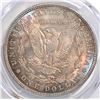 Image 3 : 1885 MORGAN DOLLAR  PCGS  MS-64