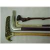 Image 3 : Three canes and a walking stick; the first cane wi