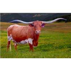 BL RED RIVER SATIN 066