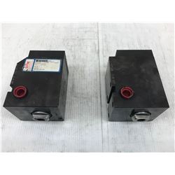 (2) BTM CORP. NON-GUIDED HYDRAULIC CYLINDER