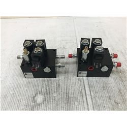 (2) DELTA POWER 86060133 VALVE