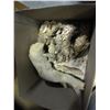 Image 2 : LOT OF DRIFT WOOD