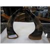 Image 1 : 2 CARVED HORNS, EAGLES