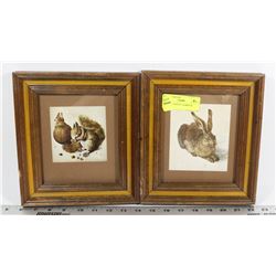 2 FRAMED PRINTS - RABBIT & SQUIRREL