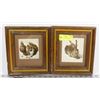 Image 1 : 2 FRAMED PRINTS - RABBIT & SQUIRREL