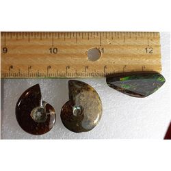 8)  LOT OF 2 AMMONITE FOSSIL SPECIMENS