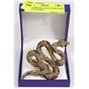 Image 1 : SNAKE BROOCH, GOLD TONED WITH MULTI COLORED