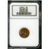 Image 1 : 1954 1C  MS67 Red NGC. A pleasant orange-copper min